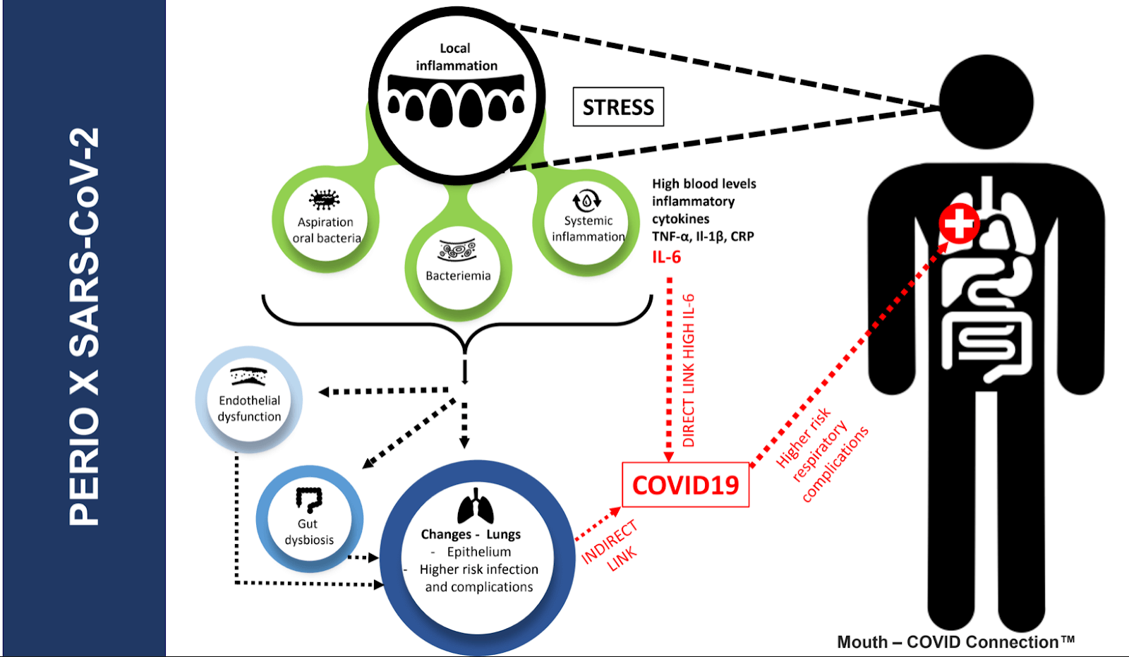 covid and gum disease graphic